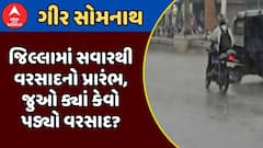 Gir Somnath Rain : ગીર સોમનાથ જિલ્લામાં સવારથી વરસાદનો પ્રારંભ, જુઓ ક્યાં કેવો પડ્યો વરસાદ?