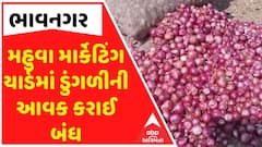 Bhavnagar Marketing Yard : સૌથી મોટા મહુવા માર્કેટિંગ યાર્ડમાં ડુંગળીની આવક કરાઈ બંધ, જાણો શું છે કારણ?
