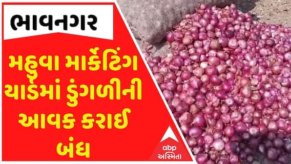 Bhavnagar Marketing Yard : સૌથી મોટા મહુવા માર્કેટિંગ યાર્ડમાં ડુંગળીની આવક કરાઈ બંધ, જાણો શું છે કારણ?