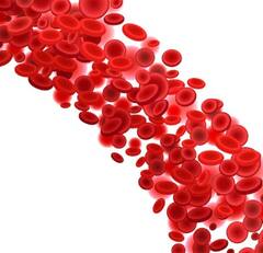 ਖੂਨ ਦਾ ਰੰਗ ਲਾਲ ਹੁੰਦਾ ਤਾਂ ਨਾੜਾਂ ਨੀਲੀਆਂ ਜਾਂ ਹਰੀਆਂ ਕਿਉਂ ਦਿਖਾਈ ਦਿੰਦੀਆਂ? ਇੱਥੇ ਜਾਣੋ ਸਹੀ ਜਵਾਬ