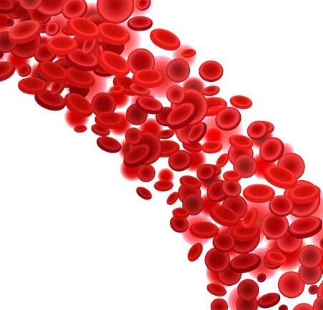 ਸਾਡੇ ਖੂਨ 'ਚ ਹੀਮੋਗਲੋਬਿਨ ਨਾਂ ਦਾ ਇੱਕ ਪ੍ਰੋਟੀਨ ਹੁੰਦਾ ਹੈ, ਜੋ ਸਰੀਰ ਦੇ ਹਰ ਹਿੱਸੇ 'ਚ ਆਕਸੀਜਨ ਪਹੁੰਚਾਉਣ ਦਾ ਕੰਮ ਕਰਦਾ ਹੈ। ਜਦੋਂ ਇਹ ਹੀਮੋਗਲੋਬਿਨ ਆਕਸੀਜਨ ਨਾਲ ਮਿਲਦਾ ਹੈ ਤਾਂ ਇਹ ਲਾਲ ਚਮਕਦਾਰ ਹੋ ਜਾਂਦਾ ਹੈ - ਇਹ ਉਹੀ ਖੂਨ ਹੈ ਜੋ ਸਾਡੇ ਸਰੀਰ 'ਚ ਦੌੜਦਾ ਹੈ।