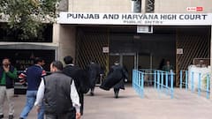 'बाउंसर' शब्द पर पंजाब-हरियाणा हाई कोर्ट ने जताई आपत्ति, कहा- जनता के मन में पैदा होता है डर