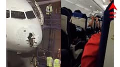 Flight Accident: মাঝ আকাশে বাজ, ভাঙল বিমান! পাইলটের বুদ্ধিতে একটুর জন্য প্রাণ বাঁচল ২২৭ জনের