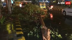 दिल्ली-NCR में आंधी-तूफान के साथ तेज बारिश, हवाई यात्रा पर भी असर, IGI एयरपोर्ट ने जारी की एडवाइजरी