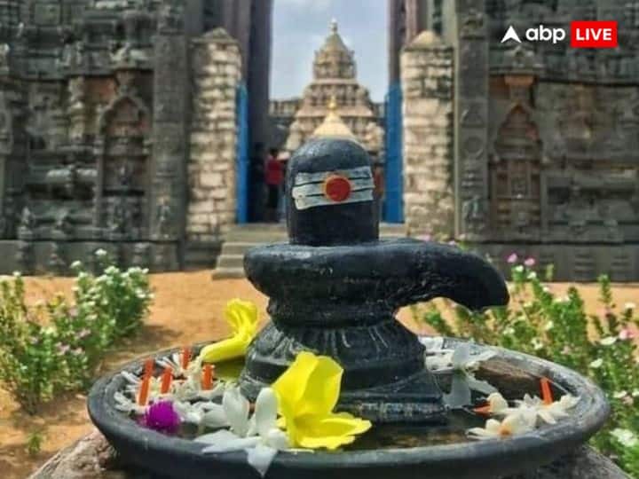 सावन का महीना बहुत पवित्र होता है. इस माह में पड़ने वाले त्योहार और व्रत का भी विशेष महत्व होता है.श्रावण मास में कई महत्वपूर्ण त्योहार मनाए जाते हैं, जैसे कि हरियाली तीज, रक्षाबंधन और नाग पंचमी.