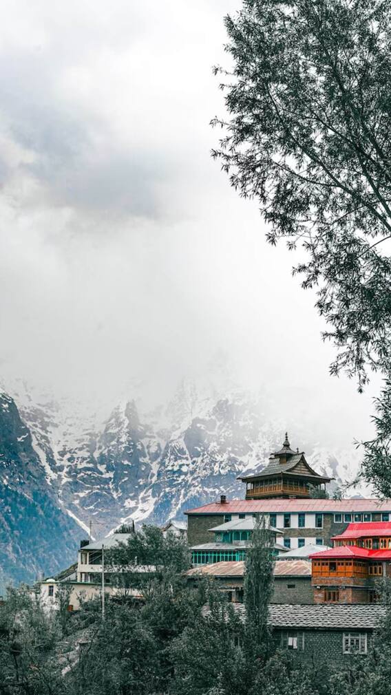 हिमाचल प्रदेश में सबसे ज्यादा किस जाति के लोग रहते हैं?