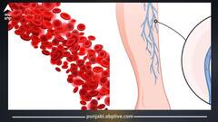 ਖੂਨ ਦਾ ਰੰਗ ਲਾਲ ਹੁੰਦਾ ਤਾਂ ਨਾੜਾਂ ਨੀਲੀਆਂ ਜਾਂ ਹਰੀਆਂ ਕਿਉਂ ਦਿਖਾਈ ਦਿੰਦੀਆਂ? ਇੱਥੇ ਜਾਣੋ ਸਹੀ ਜਵਾਬ