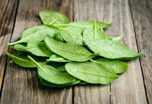 सिर से पैर तक नसों को मजबूत बनाना है? डाइट में शामिल करें ये 6 सुपरफूड्स