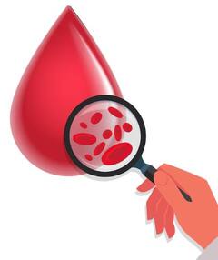 ਖੂਨ ਦਾ ਰੰਗ ਲਾਲ ਹੁੰਦਾ ਤਾਂ ਨਾੜਾਂ ਨੀਲੀਆਂ ਜਾਂ ਹਰੀਆਂ ਕਿਉਂ ਦਿਖਾਈ ਦਿੰਦੀਆਂ? ਇੱਥੇ ਜਾਣੋ ਸਹੀ ਜਵਾਬ