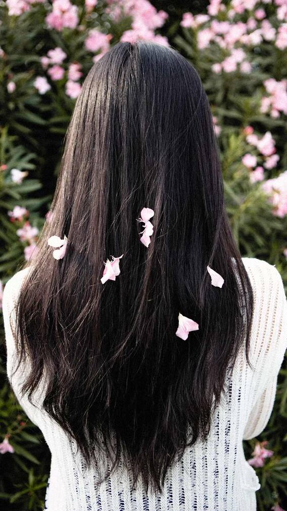 केस काळे करण्यासाठी 'या' 3 घरगुती टिप्स फॉलो करा!