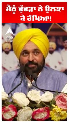 ਮੈਂਨੂੰ ਫੁੱਫੜਾ ਨੇ ਉਲਝਾ ਕੇ ਰੱਖਿਆ!