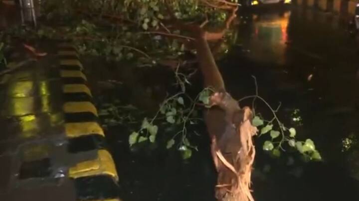 दिल्ली के सफदरजंग में 79 किलोमीटर प्रति घंटे की रफ्तार से तेज हवाए चलीं. कई इलाकों में बिजली आपूर्ति ठप हो गई.