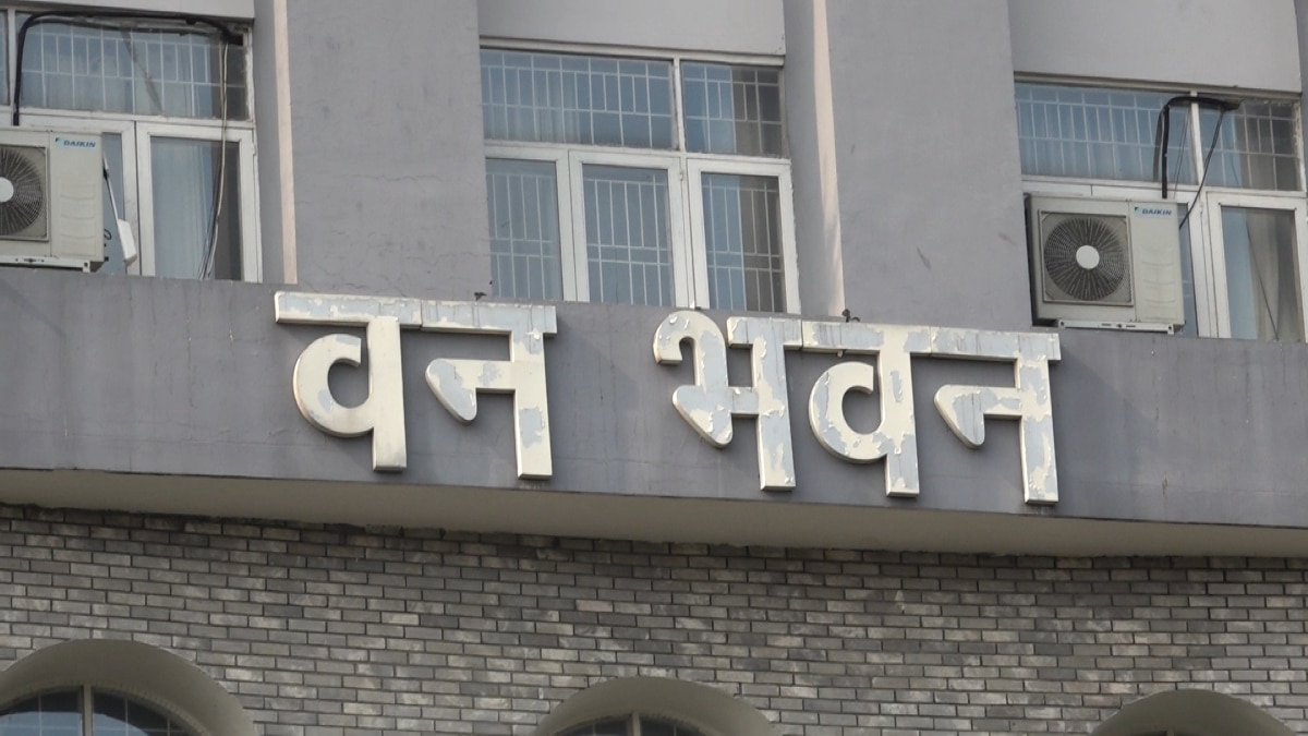 कॉर्बेट पार्क में भ्रष्टाचार का जंगल, ED ने पूर्व DFO के खिलाफ दाखिल की मनी लॉन्ड्रिंग चार्जशीट