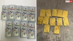 मुंबई एयरपोर्ट पर कस्टम की बड़ी कार्रवाई, 2 मामलों में लाखों का सोना और विदेशी मुद्रा जब्त