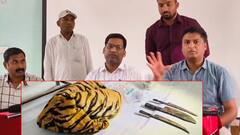 కుమ్రం భీం ఆసిఫాబాద్ జిల్లాలో పెద్దపులిని హతమార్చిన కేసులో నలుగురు అరెస్ట్