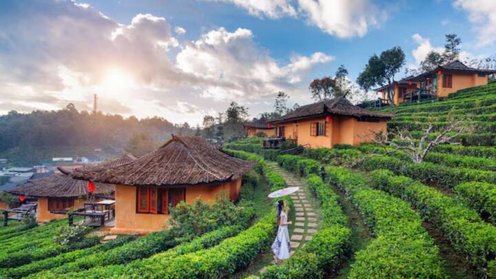 মিজোরামের এই সাফল্য অর্জনে রাজ্য সরকারের গুরুত্বপূর্ণ ভূমিকা রয়েছে। State Centre for Literacy (SCERT) গড়ে তোলা হয় সেখানে। মিজো ভাষা প্রশিক্ষণ কেন্দ্র খোলা হয় যেমন, ইংরেজি শিক্ষার ব্যবস্থাও করা হয়।