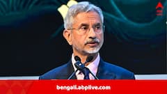 India-Pakistan Ceasefire: বাইরের কাউকে প্রয়োজন পড়েনি, জানিয়ে দিলেন জয়শঙ্কর, ভারত ও পাকিস্তানকে নিয়ে আমেরিকার দাবি খারিজ