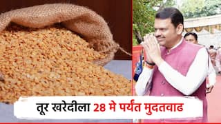 शेतकऱ्यांना गुडन्यूज; केंद्र सरकारकडून तूर खरेदीला 28 मे पर्यंत मुदतवाढ, किती आहे हमीभाव?
