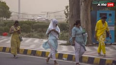 आंधी-तूफान के दौरान इन गलतियों की वजह से जा सकती है आपकी जान, तुरंत करें ये काम