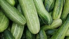 Summer Face Pack: গরমেও ত্বক থাকবে সতেজ, রইল ঘরে তৈরি ৫ ফেস প্যাকের সন্ধান