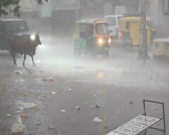 ચોમાસા પહેલા જ સૌરાષ્ટ્રમાં વરસાદની 'ધડબડાટી': રાજકોટ, જામનગર જિલ્લામાં ધોધમાર, પાકને ભારે નુકસાનીનો ભય