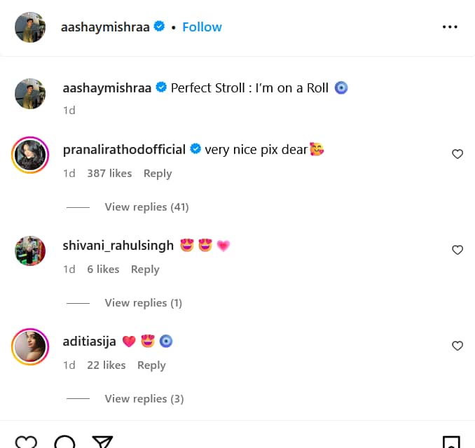 प्रणाली राठौड़ ने रूमर्ड बॉयफ्रेंड आशय मिश्रा की फोटोज पर किया कमेंट, फैंस बोले- 'शादी कब कर रहे हो?