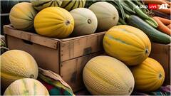 खरबूजे को देखकर खरबूजा रंग बदलता है... इस बात में कितनी है सच्चाई?