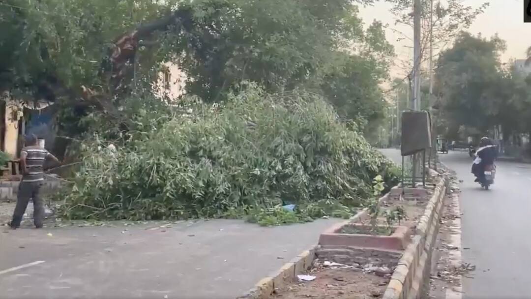 Trees Uprooted, Homes Damaged As Heavy Rains And Strong Winds Wreak Havoc in Kerala Trees Uprooted, Homes Damaged As Heavy Rains And Strong Winds Wreak Havoc in Kerala Trees Uprooted, Homes Damaged As Heavy Rains And Strong Winds Wreak Havoc in Kerala
