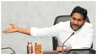 YS Jagan : YS జగన్ నోట మళ్లీ అమరావతి మాట - వైసీపీ ప్లాన్ ఏంటీ?