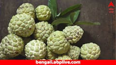 Custard Apple Benefits: রক্তাল্পতা দূর করে, হাড়ের জোর বাড়ায়- মহিলাদের জন্য দারুণ উপকারি এই ফল