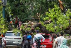 9-Year-Old Girl Among 3 Dead, At Least 11 Injured As Fierce Dust Storm Batters Delhi
