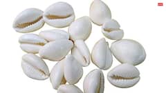 Shukrawar: शुक्रवार सुबह उठकर दिख जाएं ये 5 चीजें तो मिलते हैं धन लाभ के संकेत