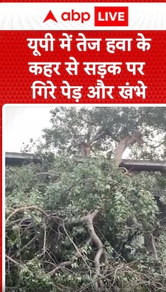 Breaking News: Strong Winds in UP Uproot Trees and Poles, Causing Chaos on Roads | ABP NEWS