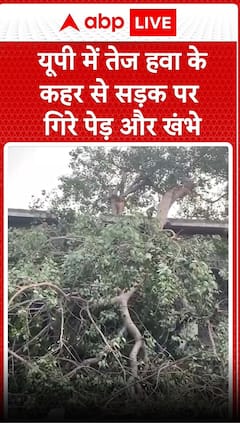 UP Rain: उत्तर प्रदेश में आंधी-तूफान के कहर से सड़क पर उखड़े पेड़ और खंभे टूटे, लोग परेशान