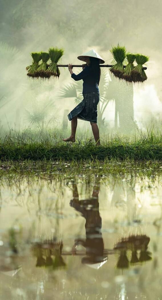 फिलीपींस में कितनी मिलती है दिहाड़ी मजदूरी?