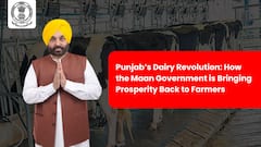 Punjab’s Dairy Revolution: How the Maan Government is Bringing Prosperity Back to Farmers