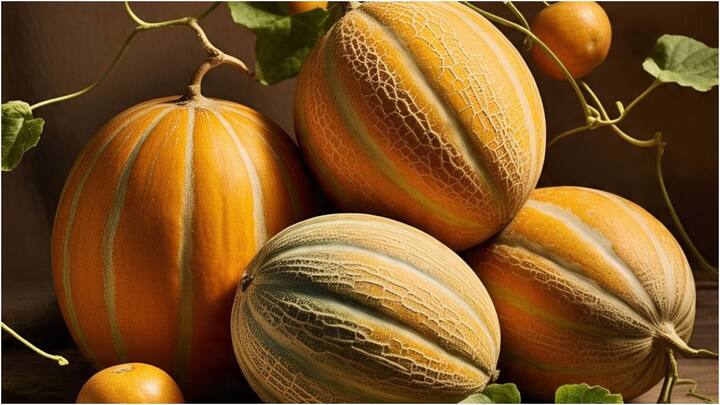 ऐसा खरबूजे के साथ भी होता है. खरबूजा जब पकता है तो वह एथिलीन गैस रिलीज करता है, जिससे अन्य खरबूजे भी पकना शुरू हो जाते हैं. कई बार ज्यादा पकने की वजह से फल सड़ने भी लगते हैं.