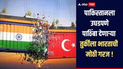 पाकिस्तानला मदत करणाऱ्या तुर्कीला भारताची मोठी गरज, दोन्ही देशात कोणत्या वस्तुंचा होतो व्यापार?  