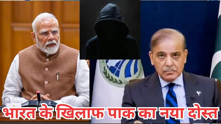 Egypt a New friend of Pakistan help during tensions with India चीन-तुर्किए के बाद पाकिस्तान का एक और सदाबहार दोस्त आया सामने, भारत के साथ है बड़ा कारोबार