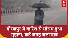 Weather Updates: गोरखपुर में झमाझम बारिश होने से मौसम हुआ सुहाना | UP Rains | Gorakhpur Rainfall