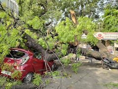 दिल्ली में आंधी का कहर, थाने के बाहर गिरा पेड़, 2 पुलिसकर्मियों की गाड़ियां क्षतिग्रस्त, टला बड़ा हादसा