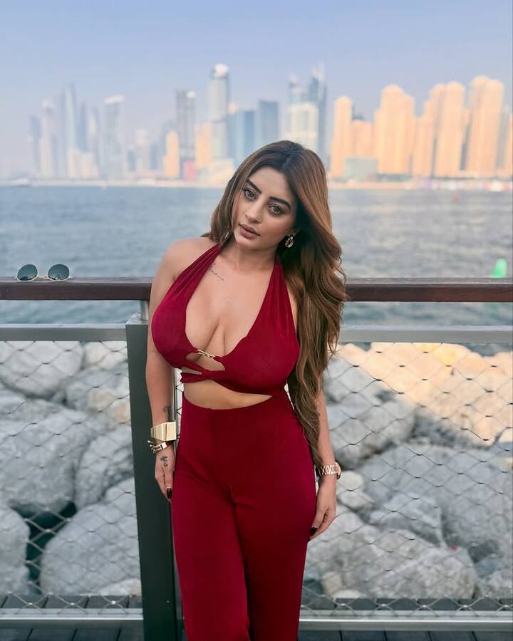 અંકિતા દવેએ ઘણી કોમર્શિયલ એડ અને મ્યુઝિક વીડિયોમાં પોતાની પ્રતિભા બતાવી છે. તેના મ્યુઝિક વીડિયો સોશિયલ મીડિયા પર આવતાની સાથે જ વાયરલ થઈ જાય છે.