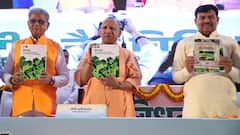 'प्रकृति संग जीना सीखे समाज', अंतरराष्ट्रीय जैव विविधता दिवस पर बोले सीएम योगी आदित्यनाथ