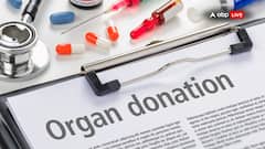 કેમ 13 ઓગસ્ટના રોજ દર વર્ષે ઉજવવામાં આવે છે World Organ Donation Day? જાણો 2025ની થીમ