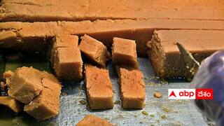 Viral News: అందరూ జోక్ అనుకున్నారు కానీ ఆయన సీరియస్ గా తీసుకున్నాడు - మైసూర్ పాక్ పేరు మైసూర్ శ్రీగా మార్చేశాడు !