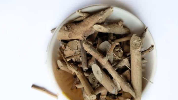 Nature’s Gift in Every Sip: Beyond wellness trends and fleeting fads, Ashwagandha remains a timeless ally. It doesn’t promise quick fixes but offers quiet resilience. And in the elegant fold of tea leaves, it continues to tell its ancient story—one of care, connection, and calm. (Image Source: iStockphoto)
