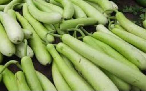 लौकी: हल्की-फुल्की और आसानी से पचने वाली लौकी पेट साफ करती है और शरीर को ठंडा रखती है. इसका ज्यूस पीना या इसे सब्जी के रूप में खाना गर्मी में राहत देने का एक बेहतरीन तरीका है.