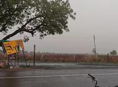 Amreli Rain: અમરેલી શહેર અને જિલ્લામાં વીજળીના કડાકા અને ગાજવીજ સાથે ધોધમાર વરસાદ