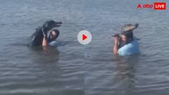 खूंखार दरिंदे को पानी से निकाल शख्स ने लगाया गले, देखने वालों के हलक में आ गए प्राण- वायरल हो रहा वीडियो