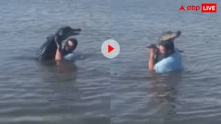 खूंखार दरिंदे को पानी से निकाल शख्स ने लगाया गले... देखने वालों के हलक में आ गए प्राण, वायरल हो रहा वीडियो